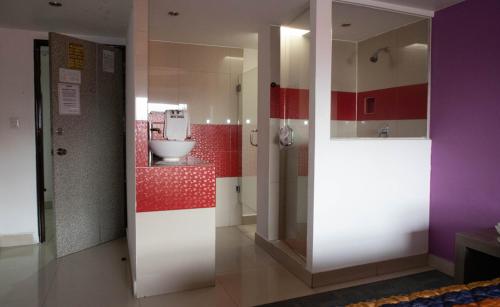 墨西哥城Hotel Rossel Plaza的客房内设有带水槽和卫生间的浴室