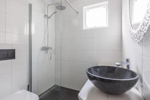霍勒姆Amelander Kaap 109的一间带石质碗水槽和淋浴的浴室