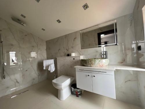 波格拉德茨维多利亚酒店的一间带卫生间、水槽和镜子的浴室