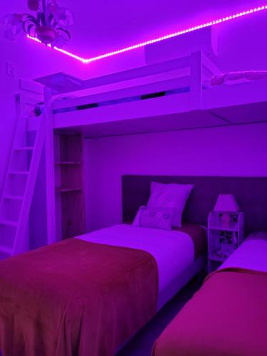 马赛Chambre d hôtes AU CŒUR DES OLIVIERS的一间紫色卧室,配有两张床和梯子