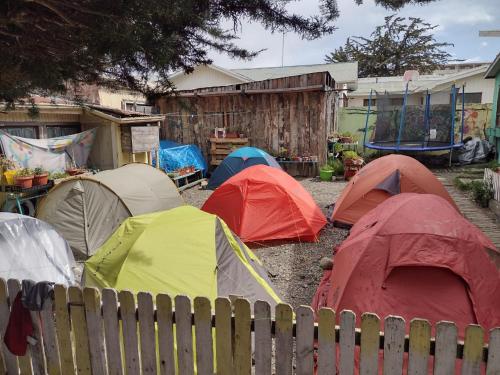 蓬塔阿雷纳斯Hospedaje Independencia y camping的围栏旁院子内的一组帐篷