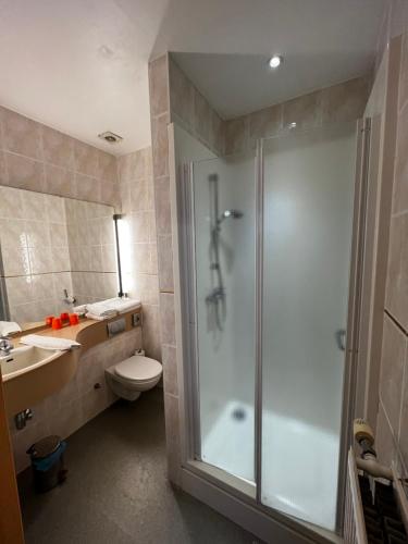 德哈恩肯特拉尔酒店的带淋浴、卫生间和盥洗盆的浴室