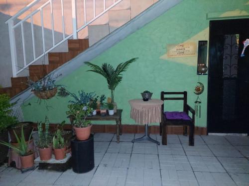 危地马拉Nirvana Hermosa habitación individual e independiente的一间设有桌子、盆栽植物和楼梯的房间