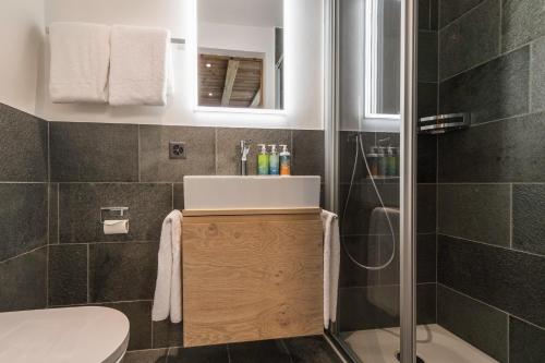 采尔马特Apartment in Chalet Pizzo Fiamma的浴室配有卫生间、盥洗盆和淋浴。