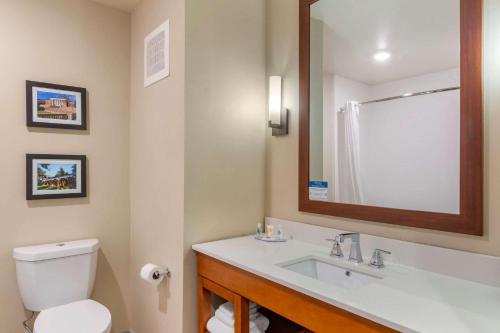 夏洛茨维尔Comfort Inn & Suites的一间带卫生间、水槽和镜子的浴室