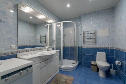 基辅Роздільна 3 кімнатна по вул Володимирська , навпроти Оперного Театру的蓝色瓷砖浴室设有卫生间和淋浴。