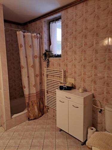 利普托斯基米库拉斯Privát Majo的一间带水槽和淋浴的浴室