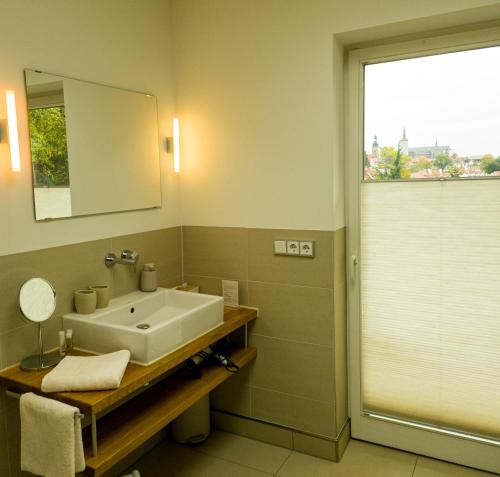班贝格卡塔琳娜别墅精品酒店的一间带水槽和镜子的浴室以及窗户。