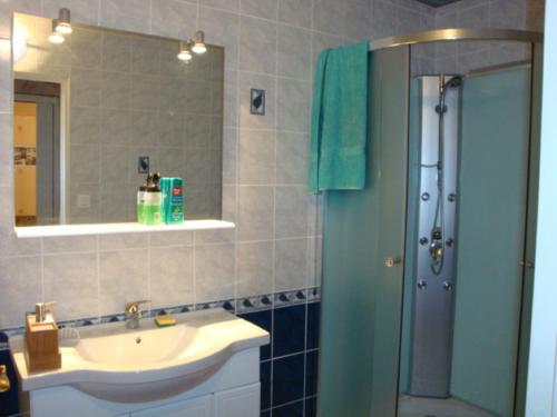 CellesFermette Rénovée的浴室配有盥洗盆和带镜子的淋浴