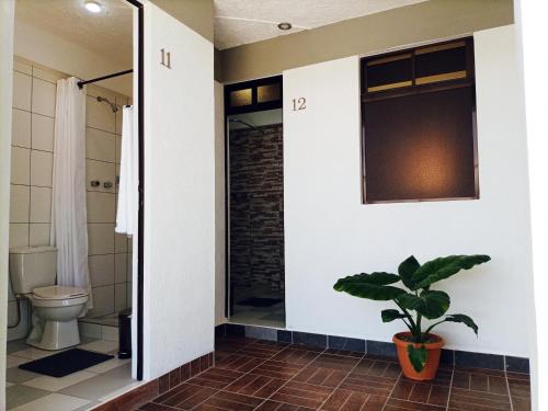 乌尤尼Hotel CESARE的一间带卫生间、窗户和植物的浴室
