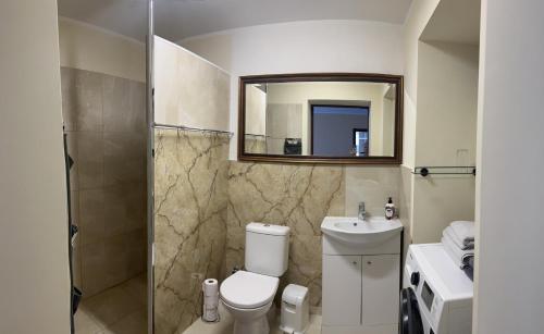 考纳斯ARB Kaunas的一间带卫生间、水槽和镜子的浴室