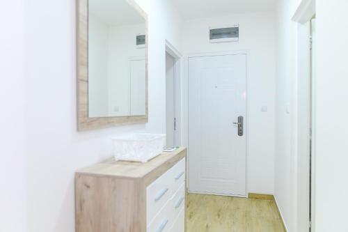 索科矿泉村Apartman Dina的一间带水槽和镜子的浴室