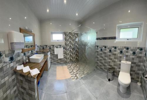 马埃岛Coco De Mer Villa的带淋浴、卫生间和盥洗盆的浴室