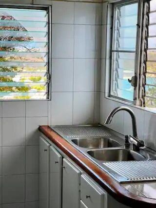 Sandy Ground VillageVilla Kaiae的一个带水槽和窗户的小厨房
