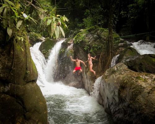 米卡ECO Cabin - TANOA Minca的两个男孩从瀑布跳进河里