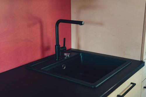 KaylDen Alen Arbed's Büro的黑色厨房水槽和黑色水龙头