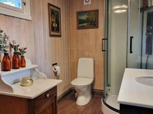 哈尔登Holiday home Halden III的浴室配有卫生间、淋浴和盥洗盆。