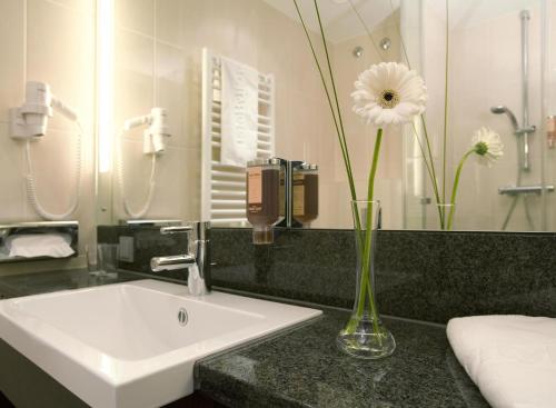 曼海姆曼海姆城际酒店的浴室设有水槽和花瓶