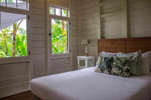 帕拉马里博Couleur Locale Paramaribo的一间卧室设有一张床和两个窗户。
