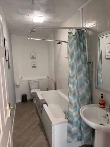 艾尔Crown street getaway的带浴缸、盥洗盆和卫生间的浴室