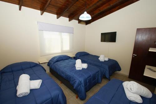 埃尔卡拉法特Complejo de cabañas Atrapasueños的客房设有3张蓝色的床和电视。