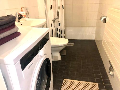 赫尔辛基Scandinavian Desing Home 37 City Center in Kamppi的浴室配有洗衣机和烘干机。