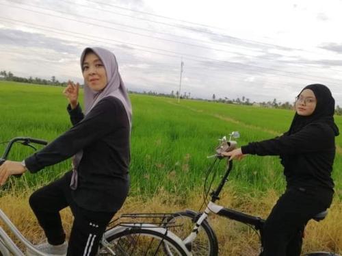 大港Chalet kolam renang D'sawah的两名妇女在稻田骑车