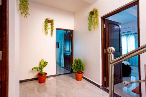 卡兰古特Goan Fiesta Studio CALANGUTE GOA的走廊上设有盆栽和玻璃门