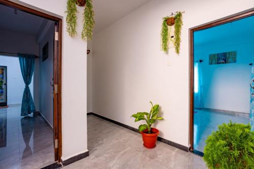卡兰古特Goan Fiesta Studio CALANGUTE GOA的走廊上设有门和盆栽