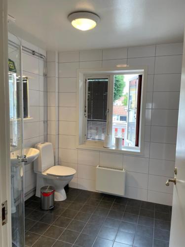 瓦斯泰纳Vadstena centrum的一间带卫生间、水槽和窗户的浴室