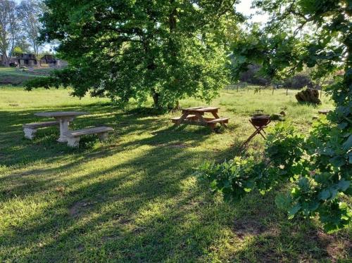Henburg ParkMill Cottages的公园里有两个野餐桌和一个烧烤架