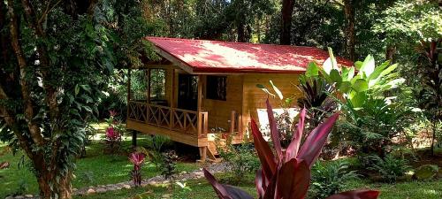 乌维塔Cabinas Costa Tropicana的森林中一座红色屋顶的小房子