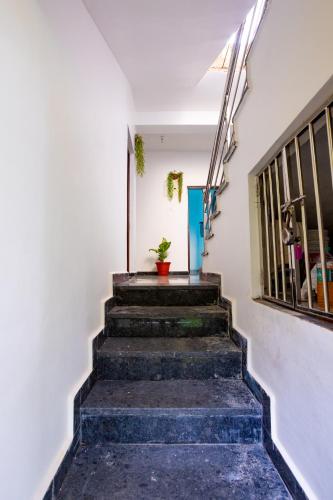 卡兰古特Goan Fiesta Studio CALANGUTE GOA的植物房子的楼梯