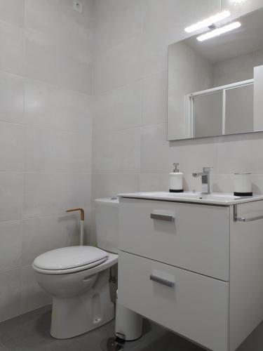 帕洛斯德拉夫龙特拉Excelente piso con aparcamiento privado的白色的浴室设有卫生间和水槽。