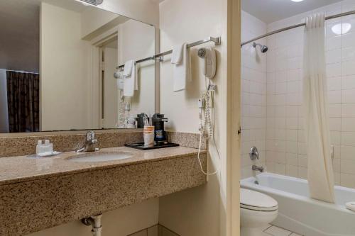 博福特镇中品质酒店的一间带水槽、卫生间和镜子的浴室