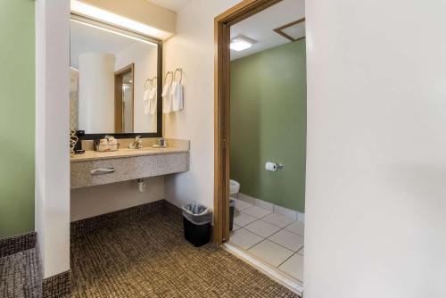 苏福尔斯苏福尔斯机场司丽普酒店的一间带水槽和镜子的浴室