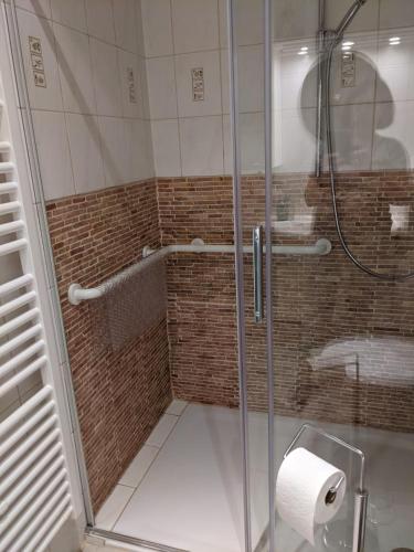 萨尔路易斯Ferienwohnung Bruss的浴室设有淋浴和卷卫生纸。