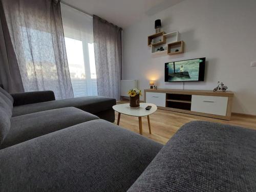 布拉索夫Apartment Altipiani Panoramic Silver的带沙发和平面电视的客厅