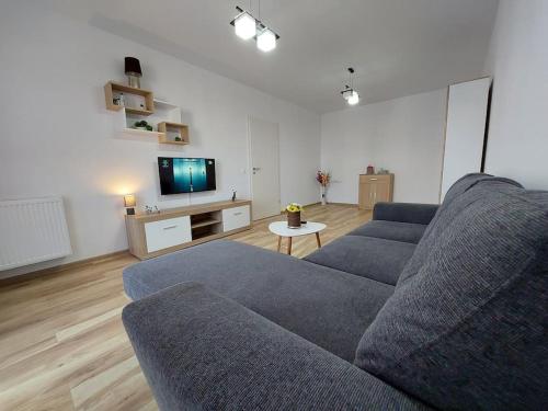 布拉索夫Apartment Altipiani Panoramic Silver的带沙发和电视的客厅