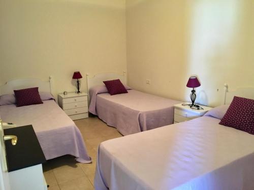 La Playa CaleraValle Gran Rey- La Playa的客房设有三张床、紫色床单和灯具