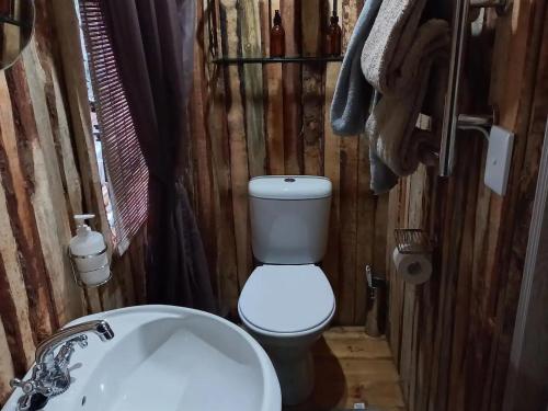 普利登堡湾SHABBY FUFU LIFESTYLE FARM的一间带卫生间和水槽的小浴室