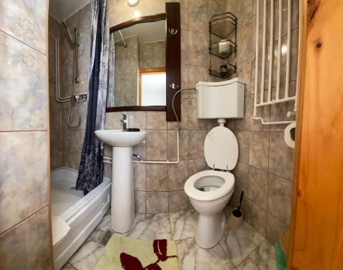 瓦马Pensiunea Casa Bianca - Bucovina的一间带卫生间、水槽和镜子的浴室