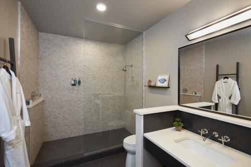 法姆维尔Hotel Weyanoke的一间带水槽、淋浴和卫生间的浴室
