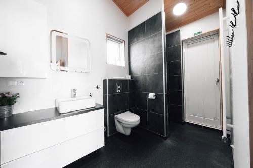 雷克霍特Blue View Cabin 5A With private hot tub的一间带卫生间、水槽和镜子的浴室