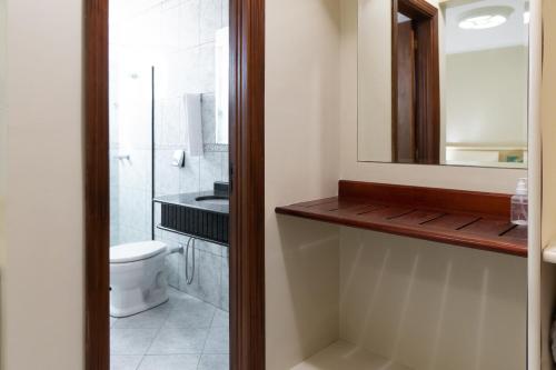 圣卡洛斯Pratas Thermas Resort的一间带卫生间、水槽和镜子的浴室