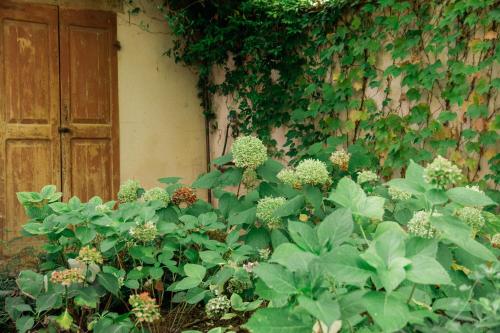 雷焦艾米利亚Casale Hortensia的门前一束绿色植物