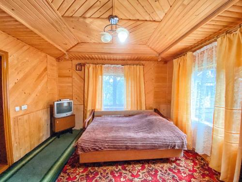 KrasnikВершина Карпат的一间卧室配有一张床和一台电视。