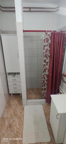 皮罗特Apartman "Dom Stankovića"的一间带红色淋浴帘的淋浴的浴室