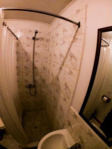 皮斯科艾齐多纳爱玛旅馆的带淋浴和卫生间的浴室
