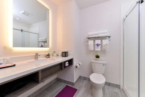 圣地亚哥圣地亚哥智选假日酒店 - 米申谷的一间带卫生间、水槽和镜子的浴室